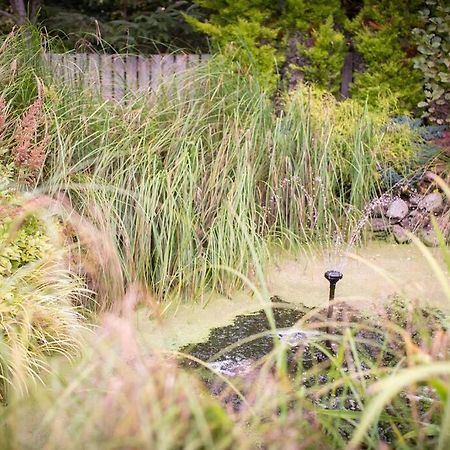 Calm Scottish Country Escape With Hot Tub Sleeps 6 Villa Inverness Kültér fotó
