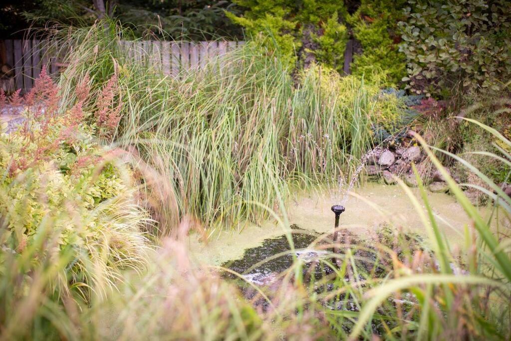 Calm Scottish Country Escape With Hot Tub Sleeps 6 Villa Inverness Kültér fotó